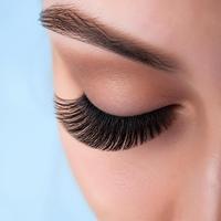 Nahaufnahme: Mega-Volumen-Wimpernset